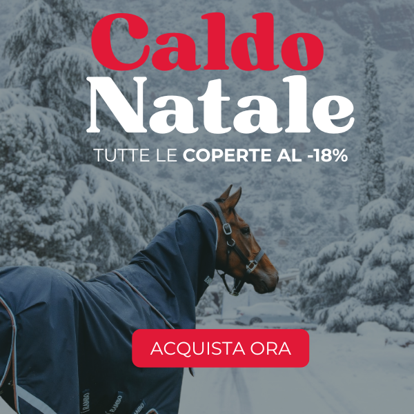 Caldo Natale