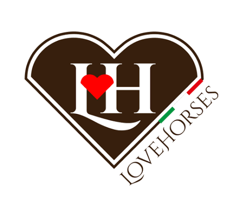 LoveHorses