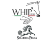 Whip Promo