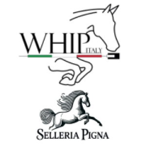 Whip Promo