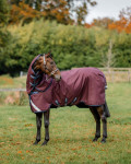 Amigo 1200D Weidedecke 100g HORSEWARE