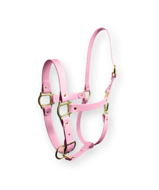 Cotton Candy SPARKLE UNICORN Halfter