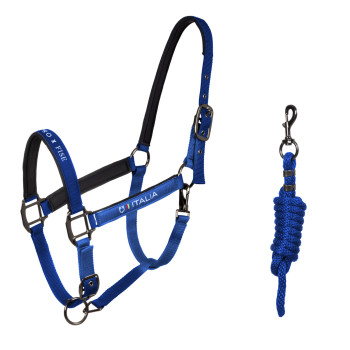 Equestro X FISE doppelt verstellbarer gepolsterter Halfter