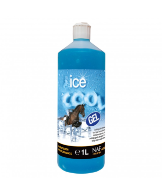 Cooling Gel – Erfrischendes Eisgel 1 l