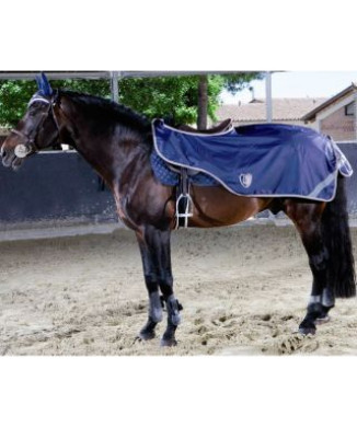 Tattini Nierenschoner