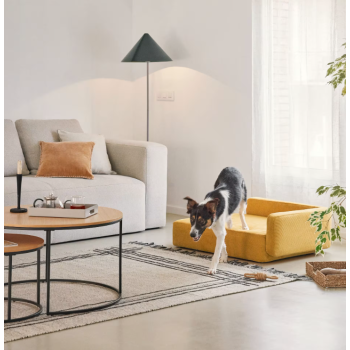 Bowie großer Haustierzwinger