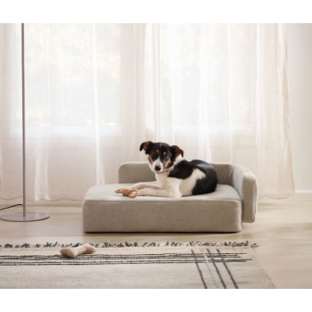 Bowie großer Haustierzwinger