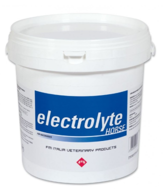 Elektrolyt Pferd 3 kg FM ITALIA