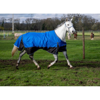 EQUITHEME 1200D Aisance Standard-Teppich