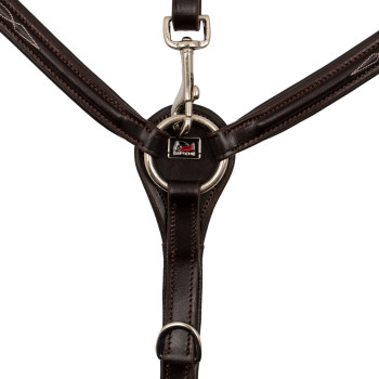 BRUST MIT KONTRASTIERENDEN DEKORATIONEN