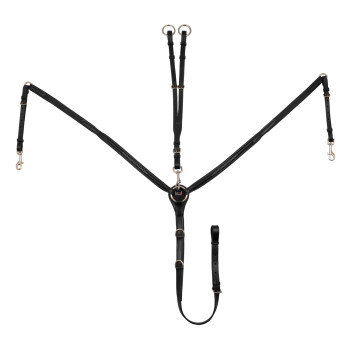 BRUST MIT KONTRASTIERENDEN DEKORATIONEN