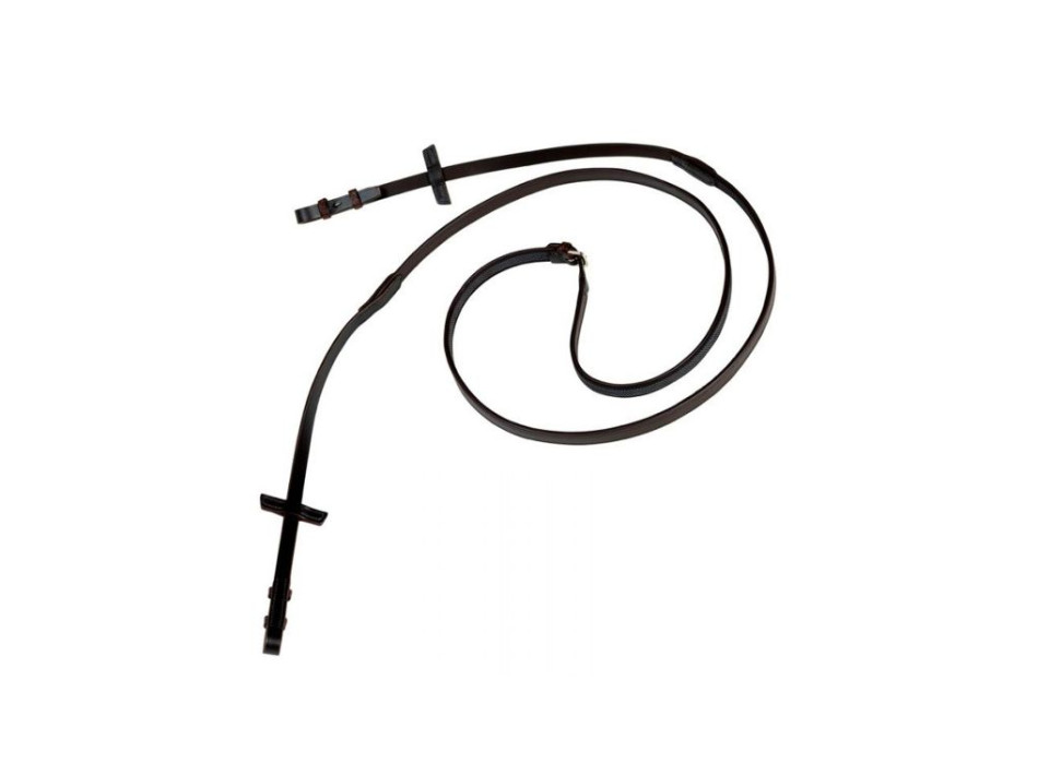 Einfache, schmale Lederzügel.