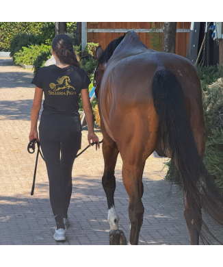 Unisex-T-Shirt „Selleria Pigna“