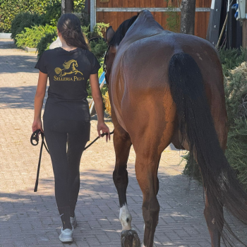 Unisex-T-Shirt „Selleria Pigna“
