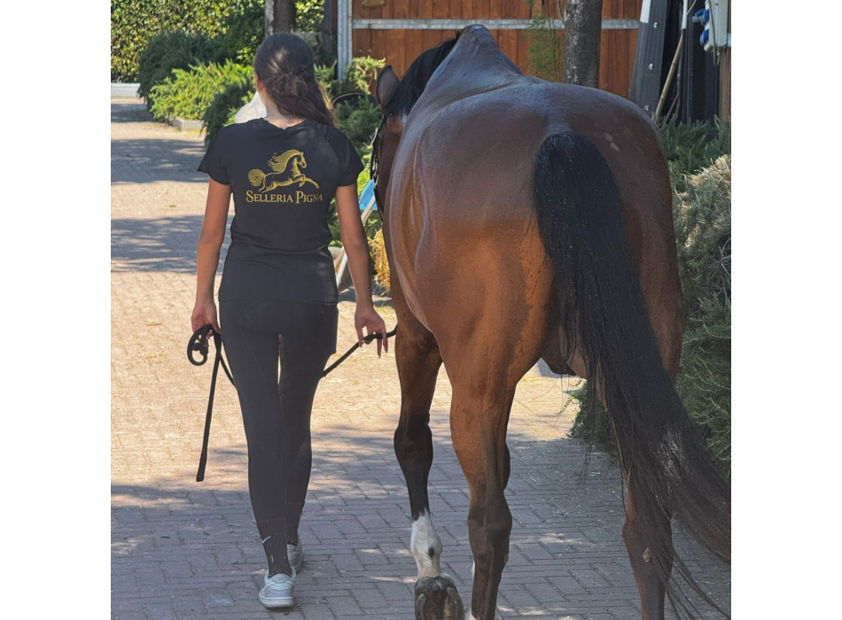 Unisex-T-Shirt „Selleria Pigna“