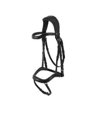 ANATOMISCHES KOPFTEIL ALLEGORIE