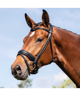 FORNARINA KOPFTEIL AUS LAMINIERTEM KALBSLEDER