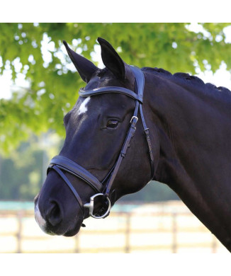 Federkopfteil Kalbsleder