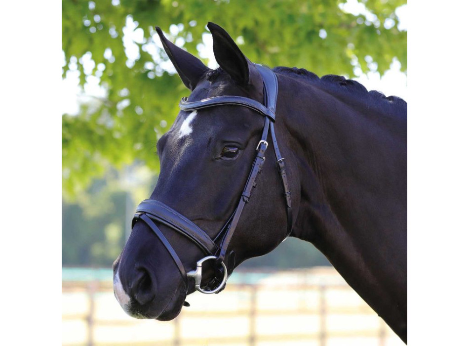 Federkopfteil Kalbsleder