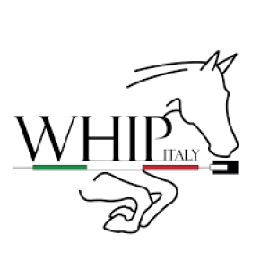 Whip Italy
