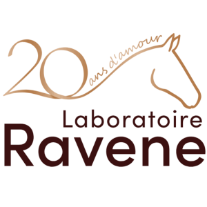 Ravene 