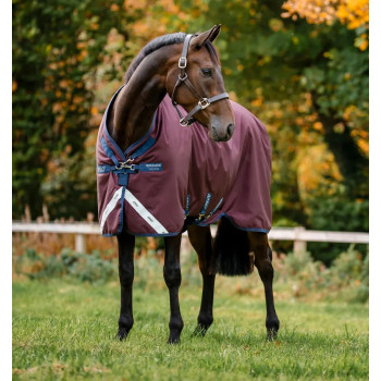 Amigo 1200D Turnout 100g HORSEWARE