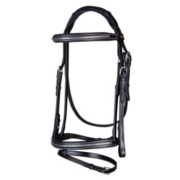 Clincher Bridle