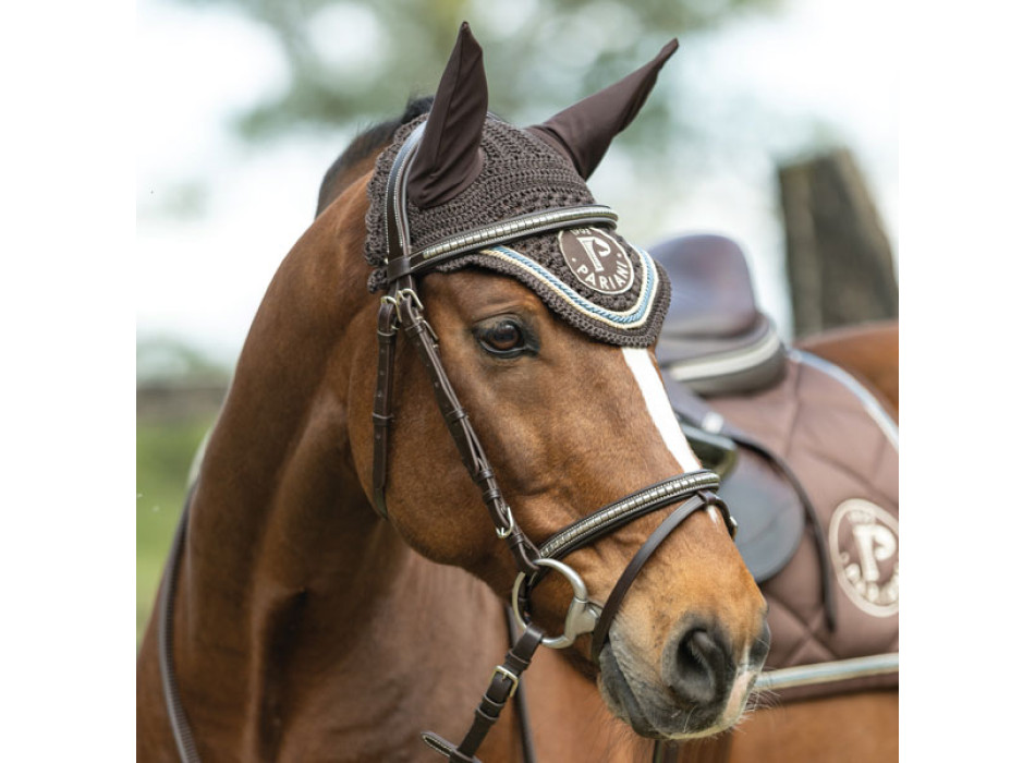 Clincher Bridle
