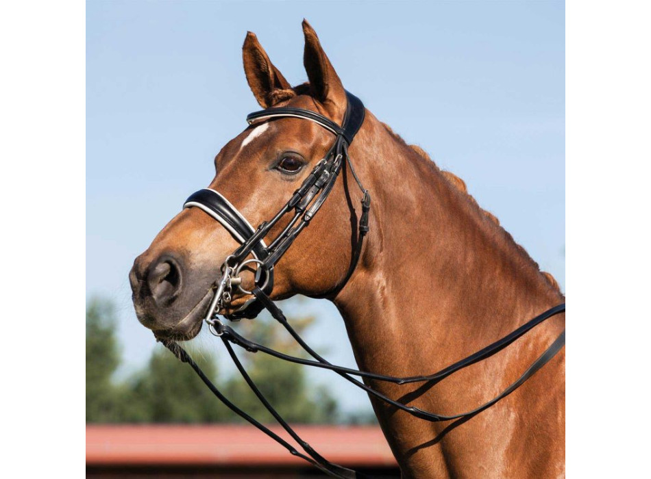 GIOCONDA BRIDLE CALFSKIN DOUBLE REINS