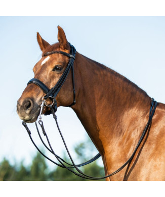 PARNASO BRIDLE DOUBLE REINS