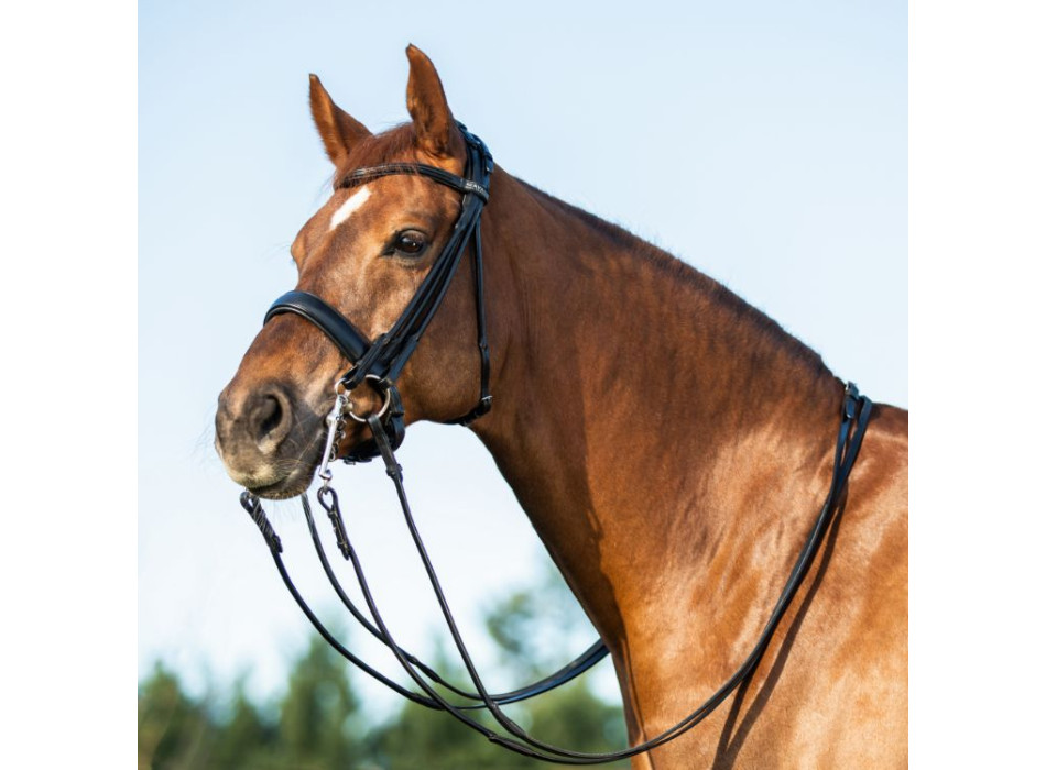 PARNASO BRIDLE DOUBLE REINS