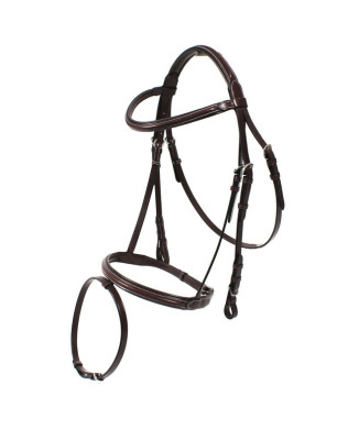 Sports bridle