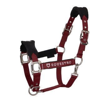 DOUBLE ADJUSTMENT HALTER WITH COORDINATED LEAD ROD
