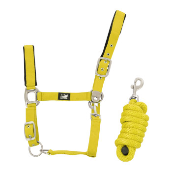 NYLON HALTER + BRAIDED LEAD ROPE