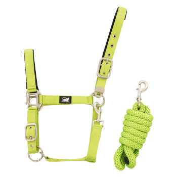 NYLON HALTER + BRAIDED LEAD ROPE
