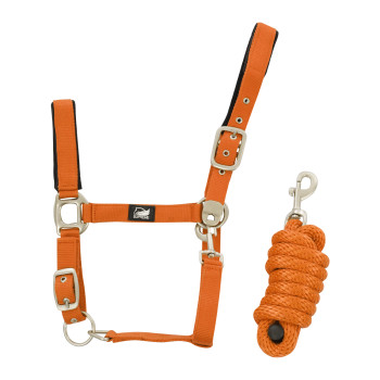 NYLON HALTER + BRAIDED LEAD ROPE