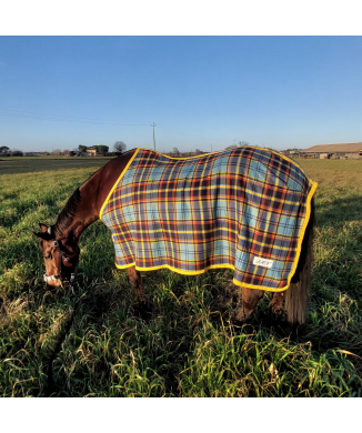 DHN Fleece Blanket