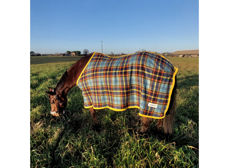 DHN Fleece Blanket