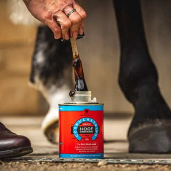 Cornucrescine Daily Hoof Dressing - Hoof Oil
