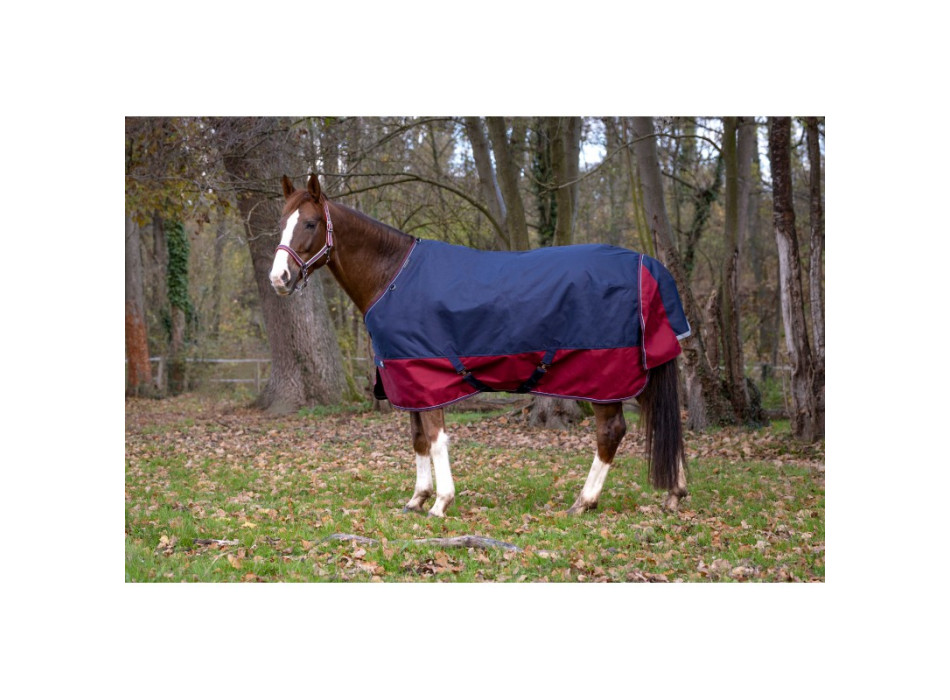 EQUITHEME Tyrex 1200D Turnout Rug