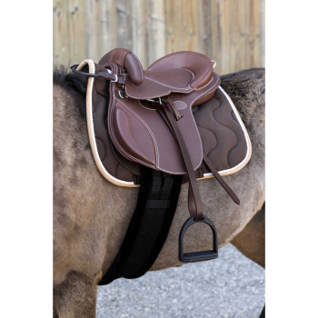 GUY CANTIN Evolution Educational Saddle