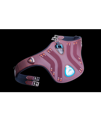 eDiamond crampon protectors