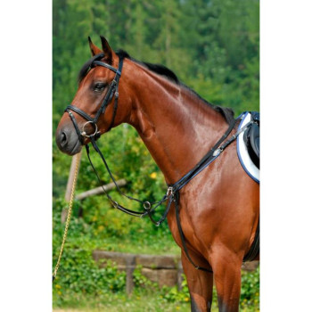 Chest strap with elastic and sliding attachment