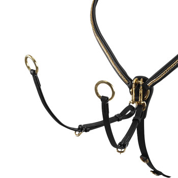 BREASTPLATE WITH FORK IN TANNED LEATHER WITH BRASS CLINCHER