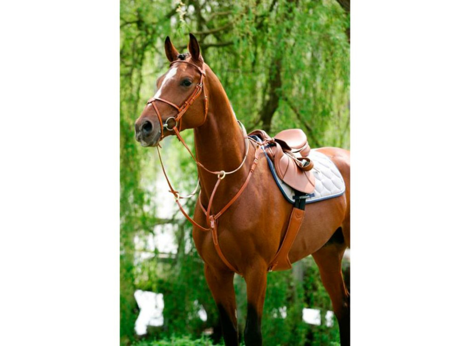 chest with sliding martingale