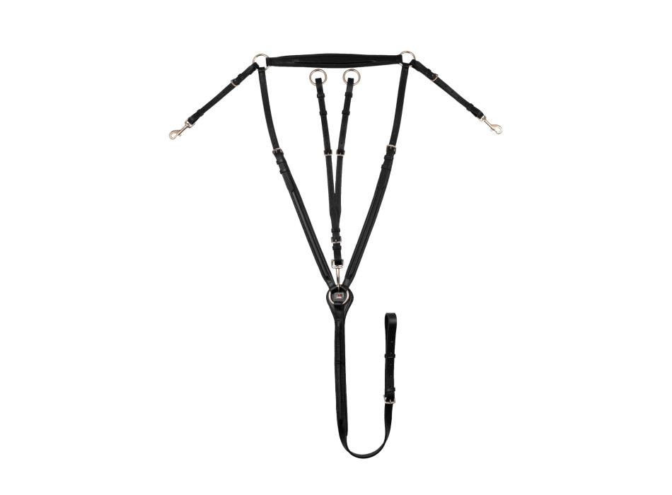 PADDED BREASTPLATE WITH REMOVABLE MARTINGALE