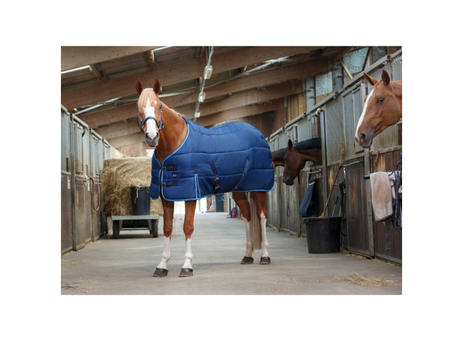 RIDING WORLD stable rug