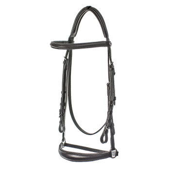 HEADSTALL WITH GERMAN NOSEBAND WITH RINGS