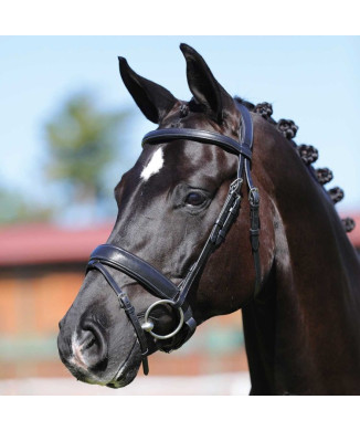 HEADBOARD PHILOSOPHY CALFSKIN