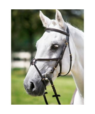 Tattini Headstall Noseband Crossbreed